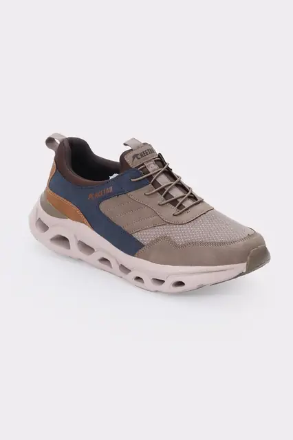 Cheetah catalogue