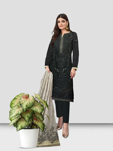 Bin Faraz catalogue